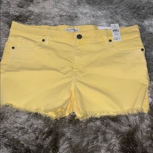 YELLOW SHORTS - LOFT